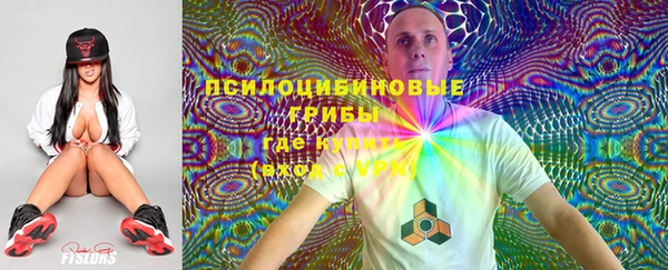 не бодяженный Слюдянка