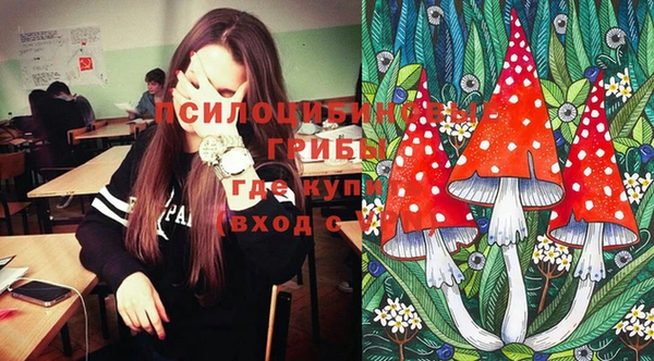 круглые Снежногорск