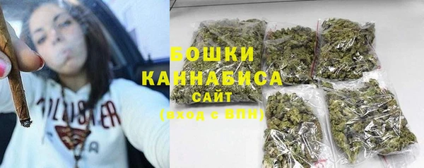 соль ск Богданович