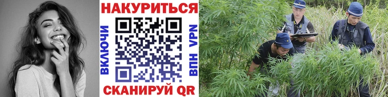 Канабис семена Киржач